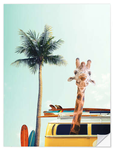 Selvklæbende plakat Surfer Giraffe