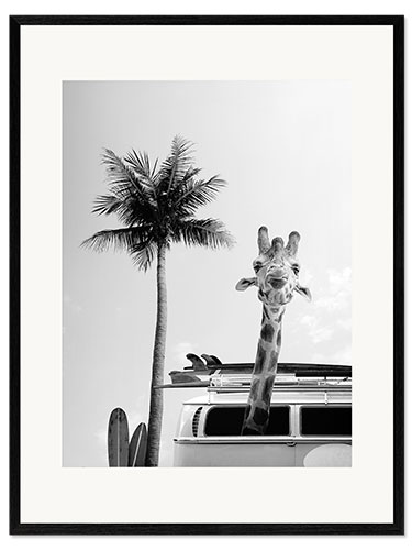 Ingelijste kunstdruk Giraffe in the Surfer Bus