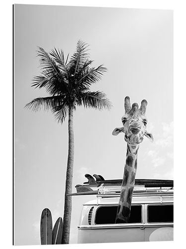 Galleritryck Giraffe in the Surfer Bus