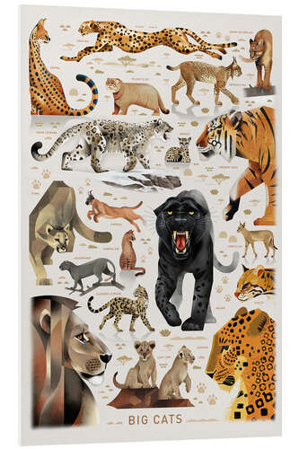 Foam board print Big Cats I