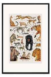 Gerahmter Kunstdruck Big Cats I - Dieter Braun