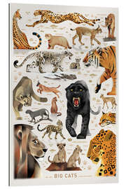 Gallery print Big Cats I