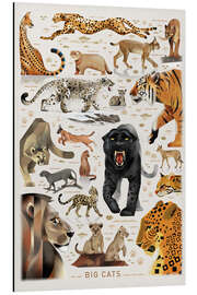 Magnettafel Big Cats I