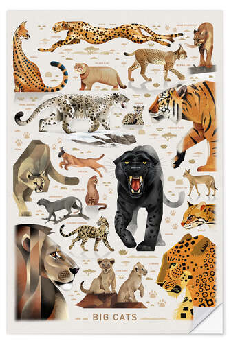 Wandsticker Big Cats I