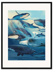 Impression artistique encadrée Whales