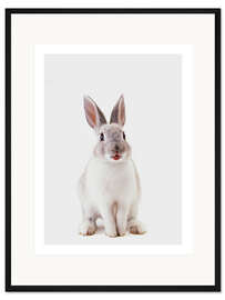 Gerahmter Kunstdruck Lachender Hase