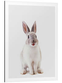 Magnettafel Lachender Hase