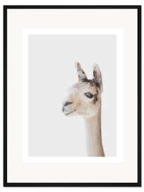 Gerahmter Kunstdruck Freundliches Lama