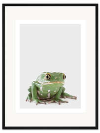 Gerahmter Kunstdruck Laubfrosch