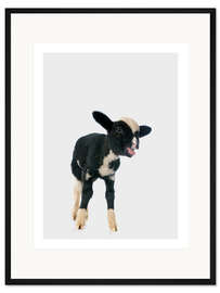 Gerahmter Kunstdruck Schwarz-weißes Schäfchen