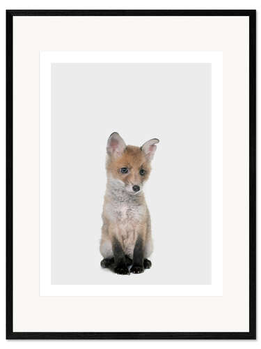 Framed art print Baby Fox