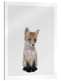 Gallery print Baby Fox