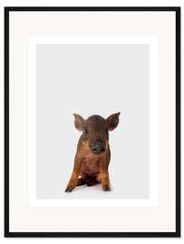 Gerahmter Kunstdruck Kleines Ferkel