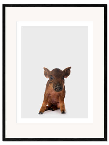 Kunsttryk i ramme Little Piglet