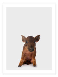 Wall print  Little Piglet - Animal Kids Collection