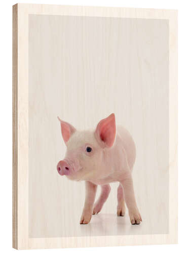 Wood print Pink Piglet