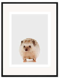 Gerahmter Kunstdruck Weißbauchigel