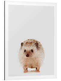 Magnettafel Weißbauchigel