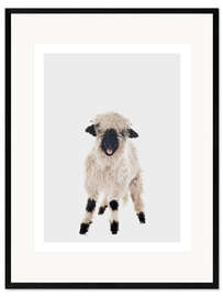 Ingelijste kunstdruk Curly Lamb