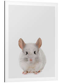 Magnettafel Chinchilla
