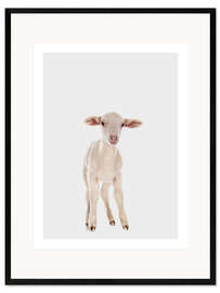 Inramat konsttryck White Baby Sheep