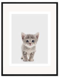 Gerahmter Kunstdruck Neugieriges Kätzchen