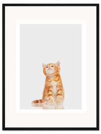 Gerahmter Kunstdruck Kleiner roter Kater
