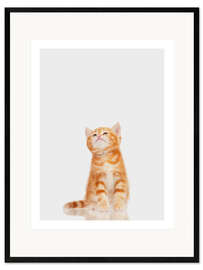 Framed art print Little Red Kitten