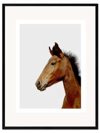 Framed art print Dreamy Foal