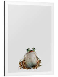 Magnettafel Teichfrosch