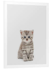 Foam board print Little Tiger