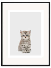 Gerahmter Kunstdruck Kleiner Tiger