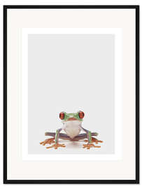 Gerahmter Kunstdruck Rotaugenlaubfrosch