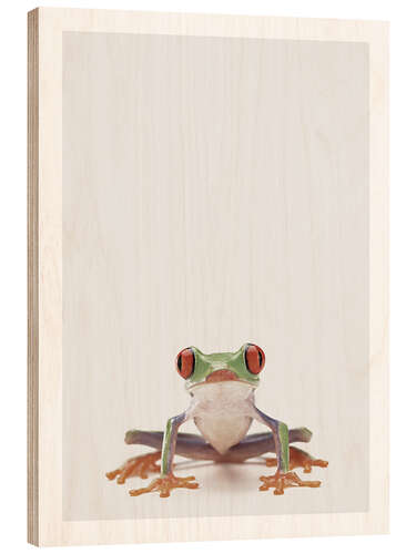 Wood print Red-eyed Tree Frog