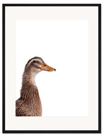 Gerahmter Kunstdruck Braune Ente II