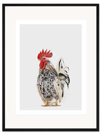 Gerahmter Kunstdruck Hahn II