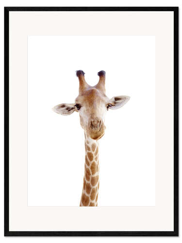 Plakat artystyczny premium w ramie Curious Giraffe