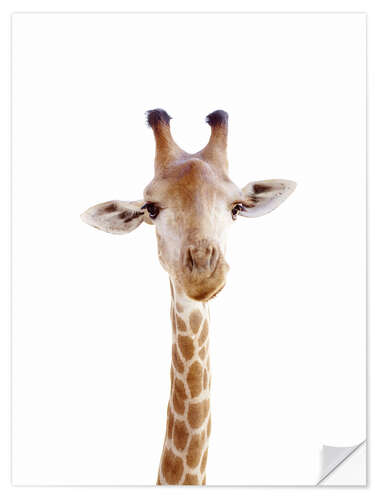 Wandsticker Neugierige Giraffe