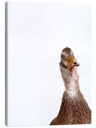 Canvas print Brown Duck I