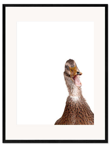 Framed art print Brown Duck I