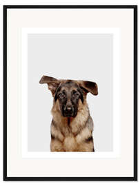 Gerahmter Kunstdruck Deutscher Schäferhund