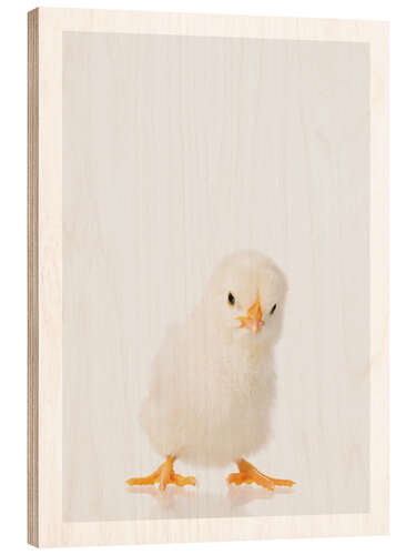 Wood print Fluffy Chick