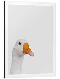 Aluminium print Skeptical Goose