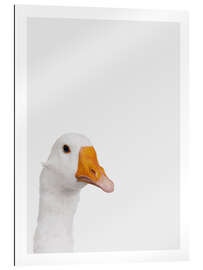 Tableau en plexi-alu Skeptical Goose