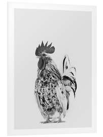 Cuadro de PVC Fancy Rooster II - Animal Kids Collection