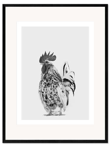 Framed art print Fancy Rooster II