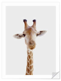 Vinilo para la pared Funny Giraffe