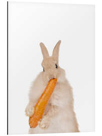 Aluminium print Bunny with a carrot II