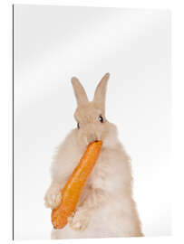 Gallery print Bunny with a carrot II