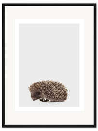 Gerahmter Kunstdruck Igel I